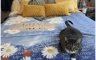 The Power of a Blanket